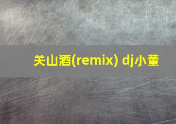 关山酒(remix) dj小董